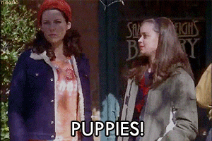Lorelai loves pup</a></noscript></p>
<p>6. The ladies on this show, particularly Lorelei are just so good natured and fun. Even now it just makes me feel good to spend time with these quirky weirdos.</p>
<p><a href=